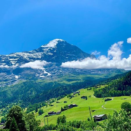 Mönch Amazing Apartment Grindelwald Exterior foto