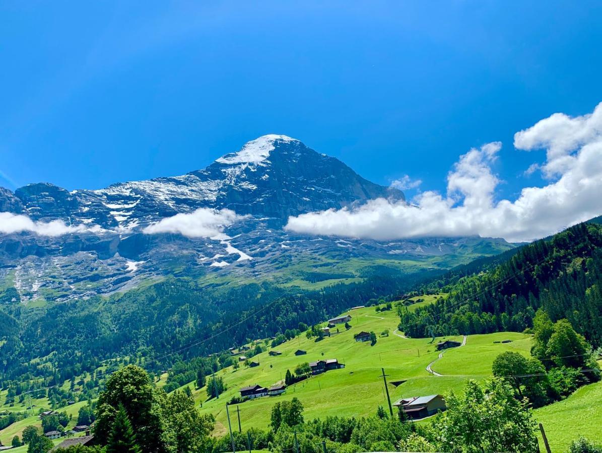 Mönch Amazing Apartment Grindelwald Exterior foto